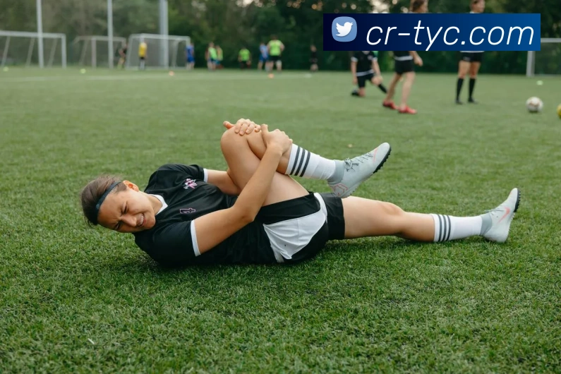 太阳城娱乐平台生态图